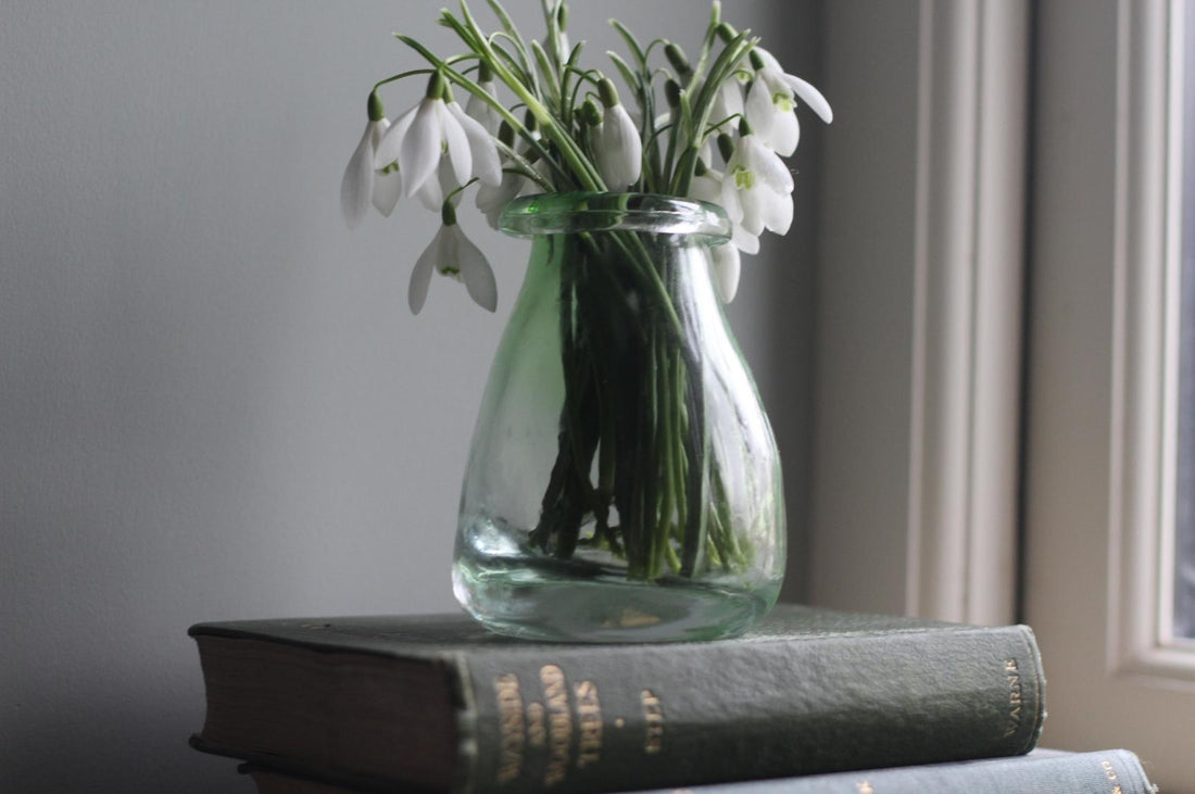 A beautiful vase of snowdrops by Pod & Pip