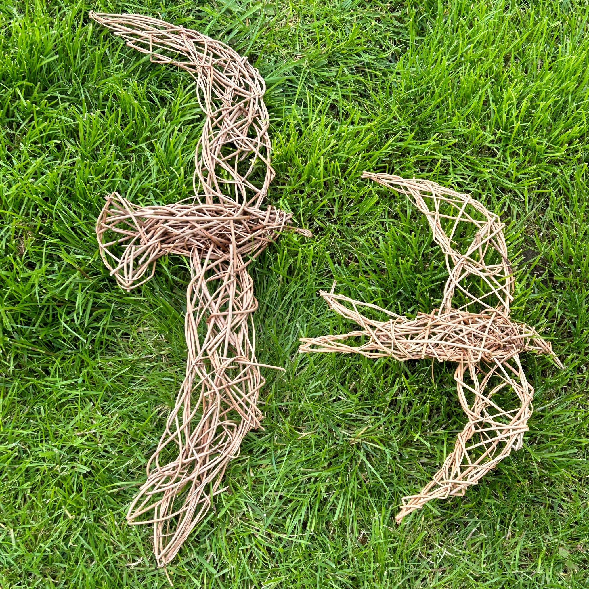 Willow Bird Workshop