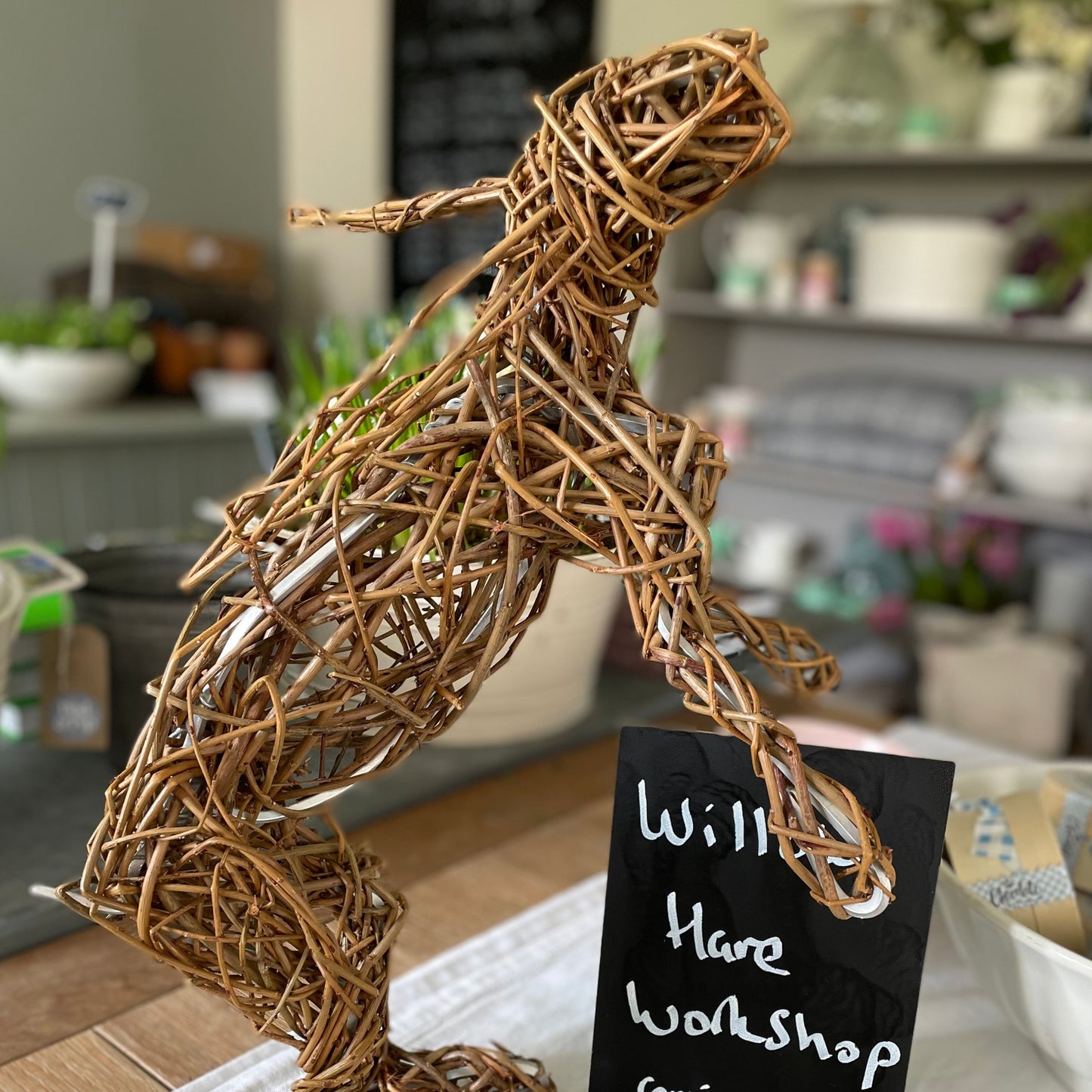 Willow Hare Workshop