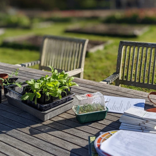 Grow your own Cutting Garden Workshop